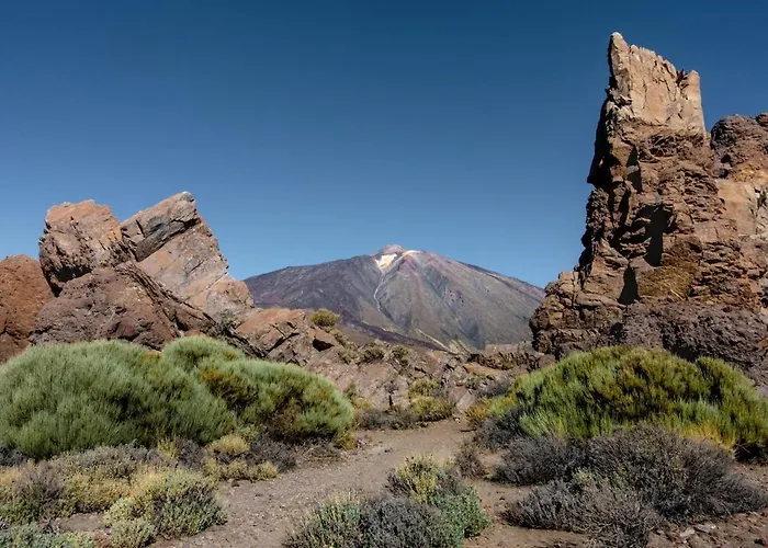 Lejlighed Eden Oasis Boho 1 Las Galletas